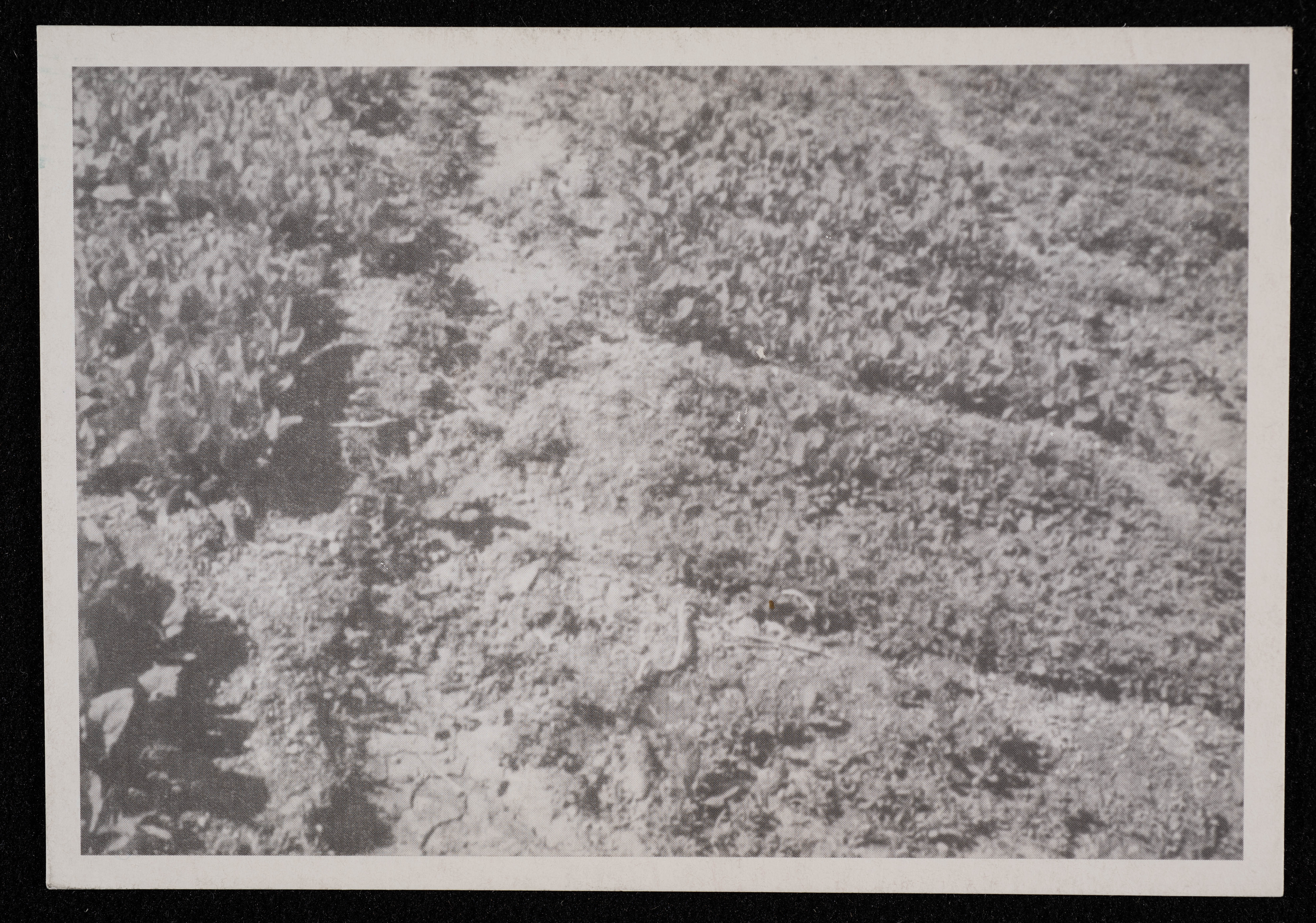 Farmer with Dirt